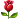:rose: