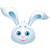 :bunny2: